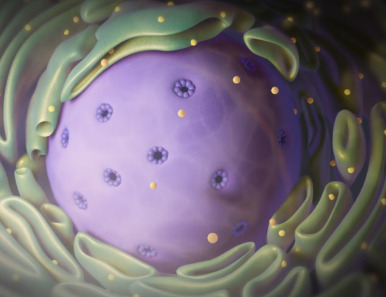 CRISPR Gene editing