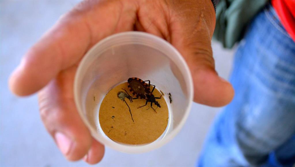 Chagas-Gettyimages-2