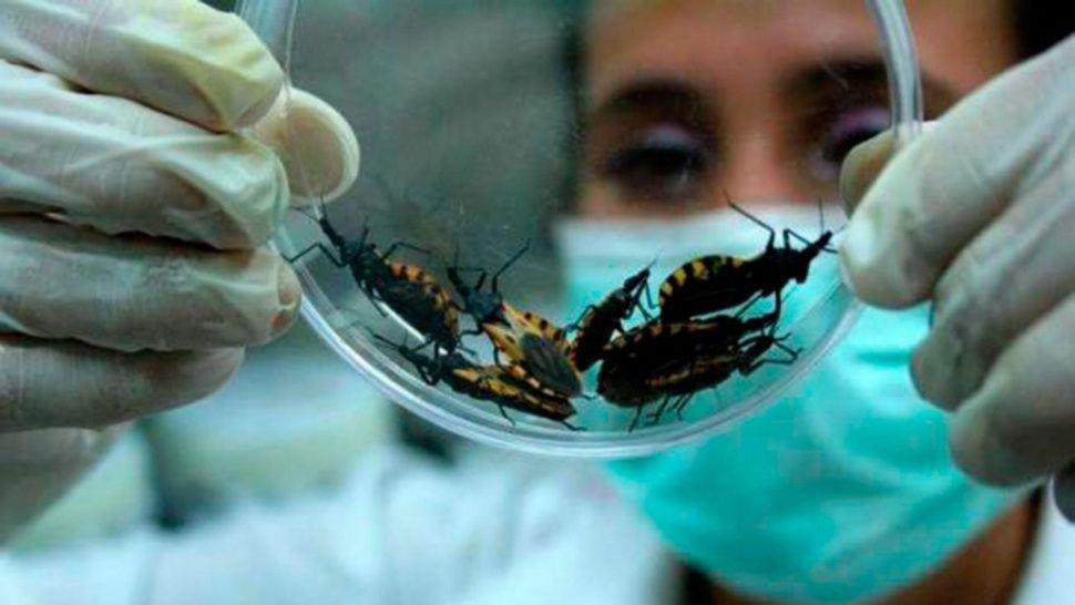 Chagas disease