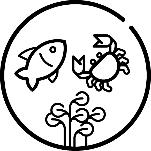 WHO NTD emblem