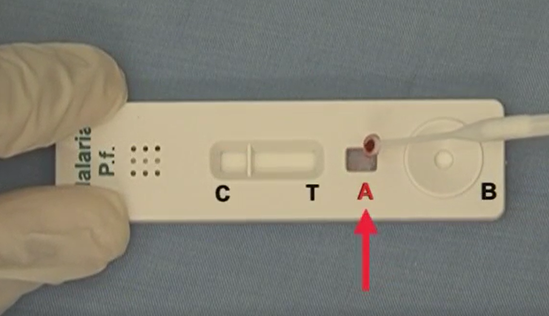 13b