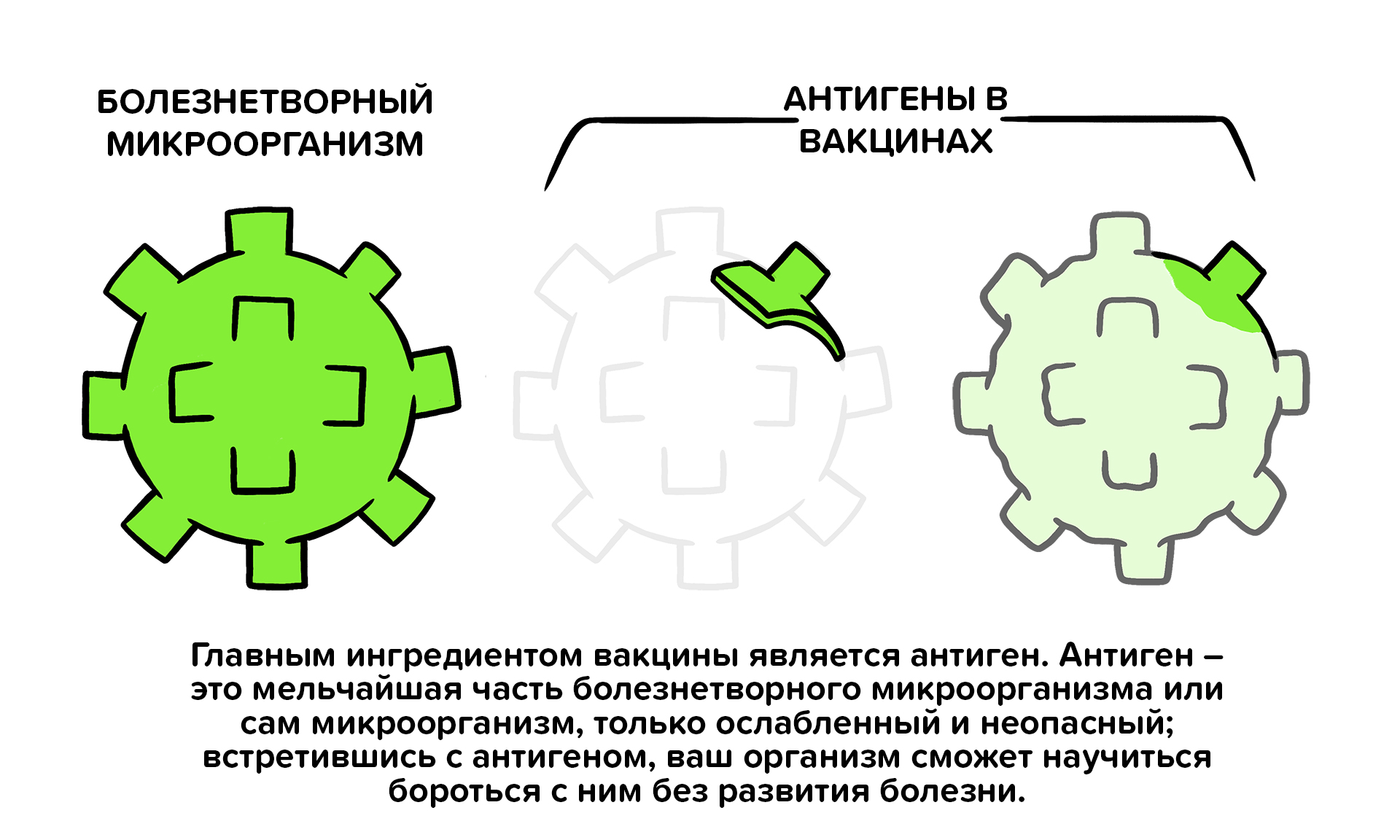 Vaccines topic 2 01 Vaccine Antigens