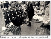 copyright Joanne Mariner 2000