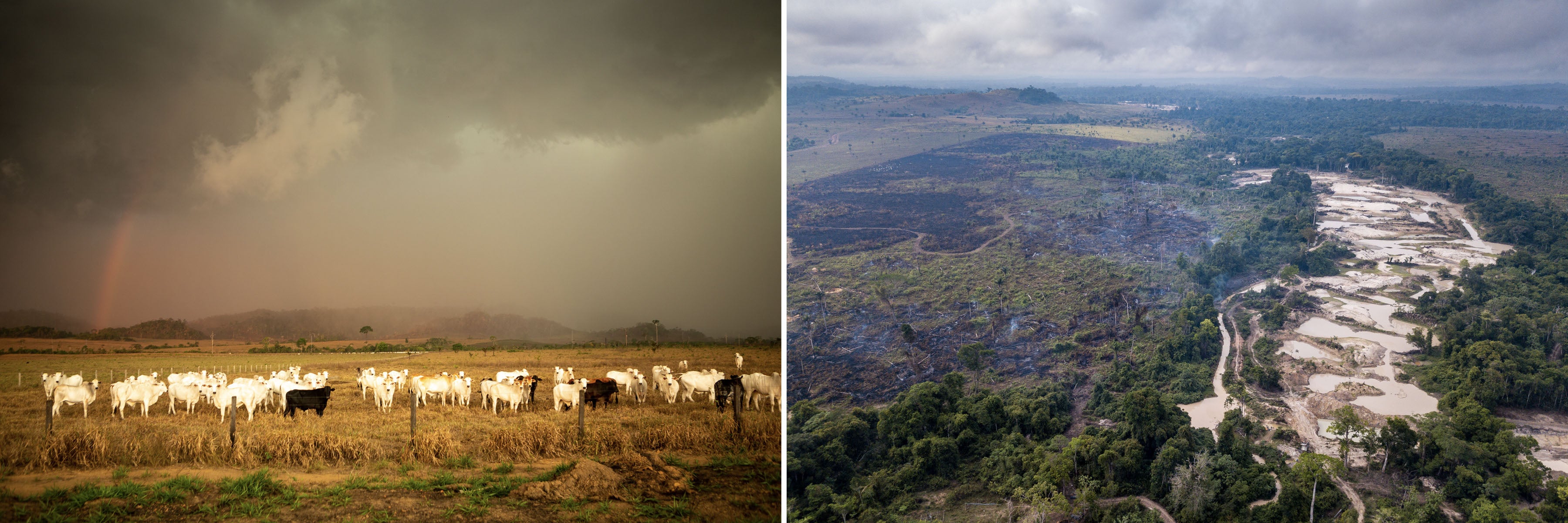 Castelo dos Sonhos, Pará State