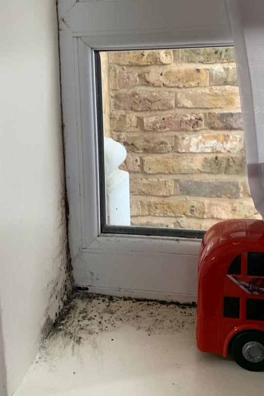 Toxic mould around a window