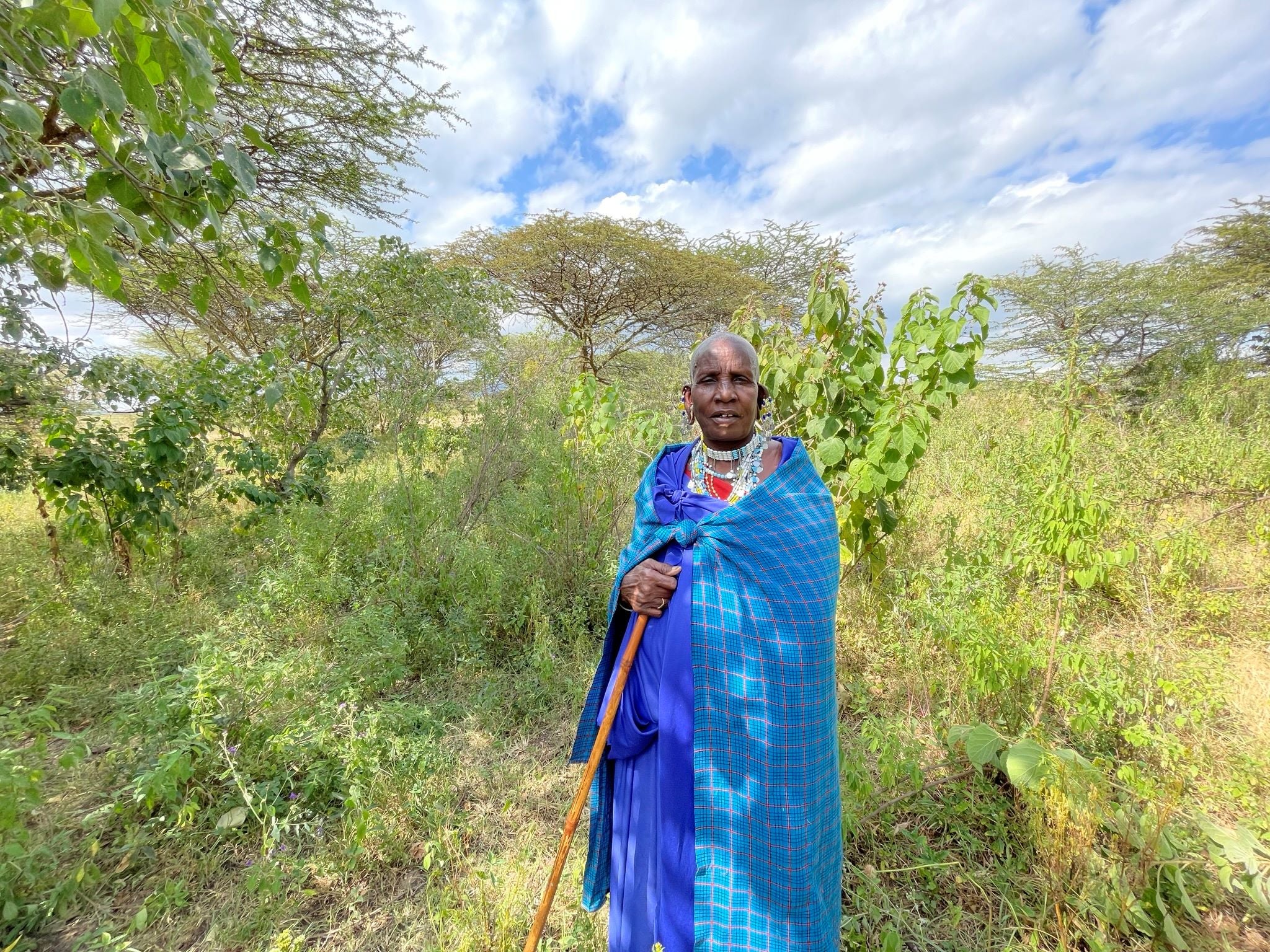 A Maasai woman standing near Endulen, Ngorongoro Conservation Area (NCA), Arusha region, Tanzania, on June 22, 2023. 
