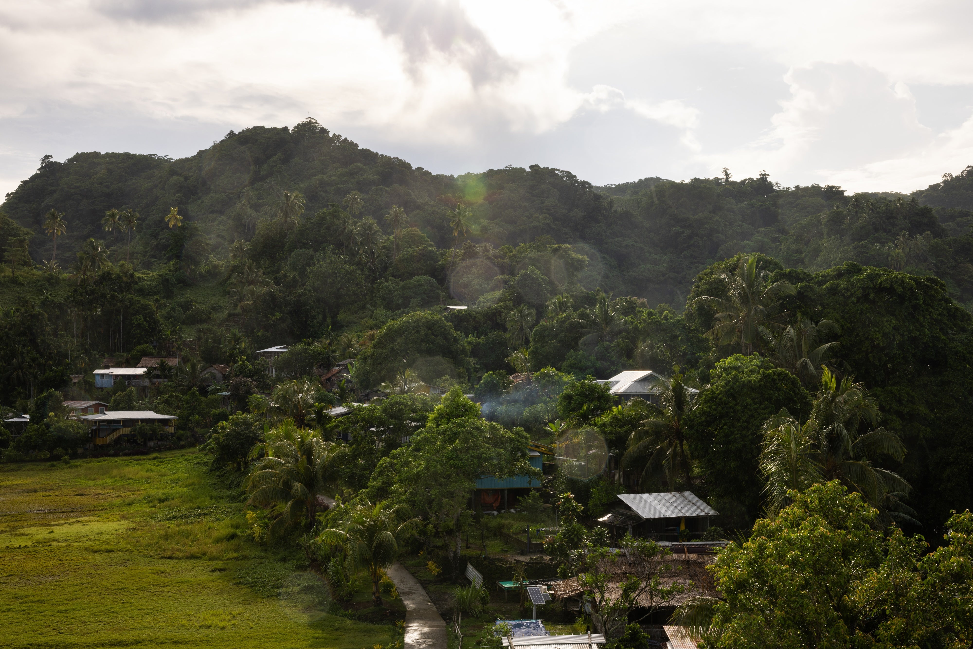 The upper limits of the designated new site in mainland Malaita,