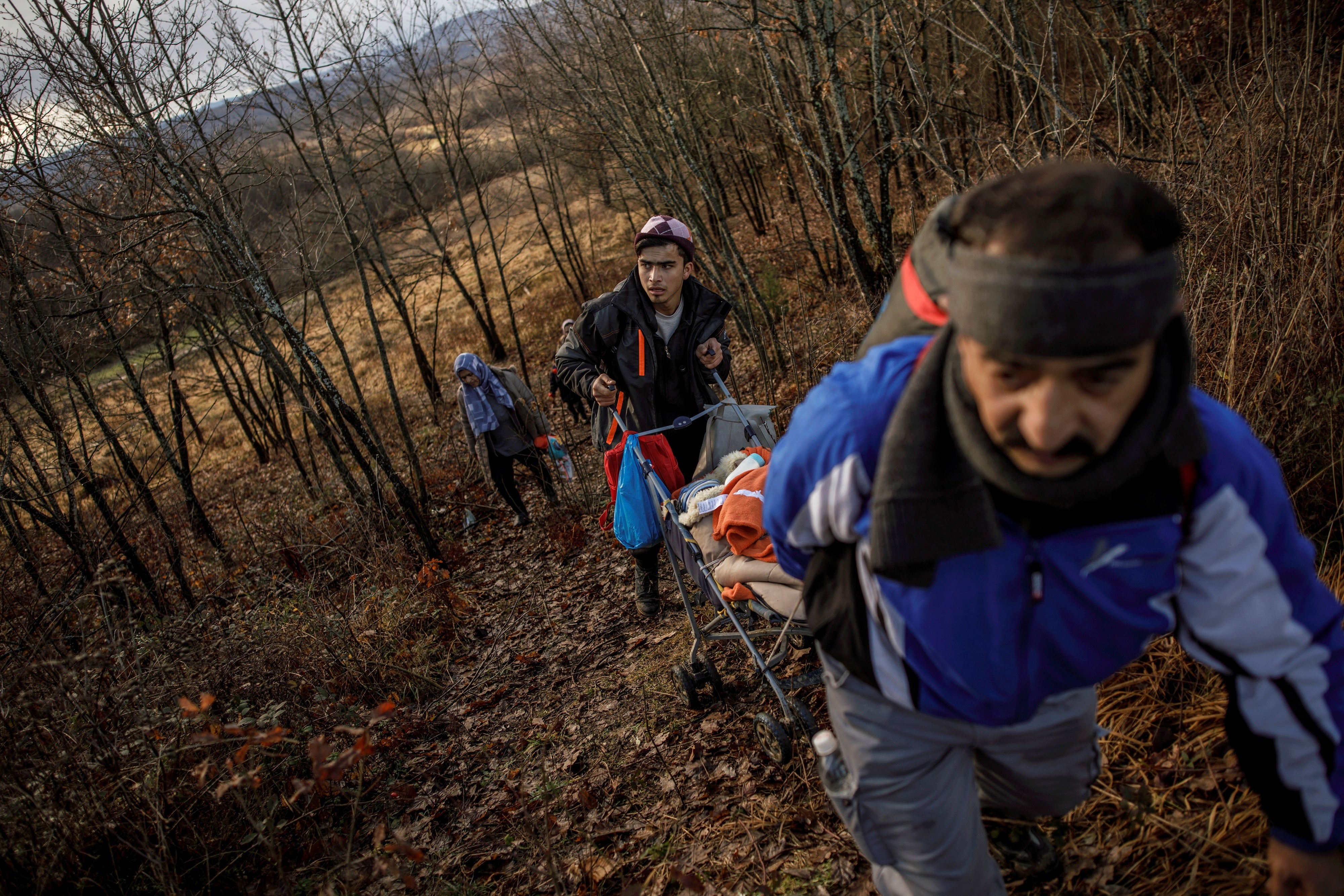 A family walking through a forest