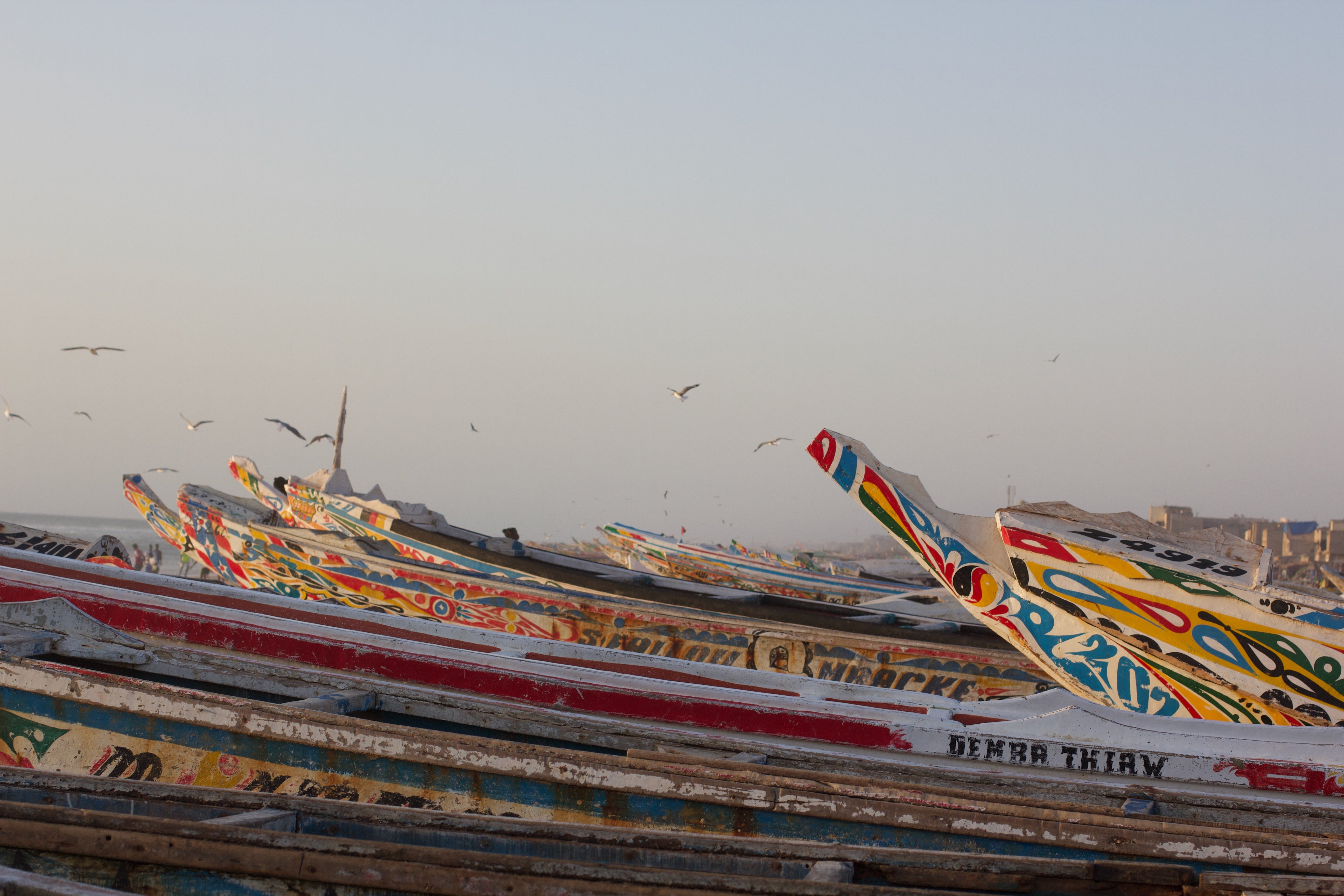 Traditional fishing boats, known as pirogues on the Langue de Barbarie.