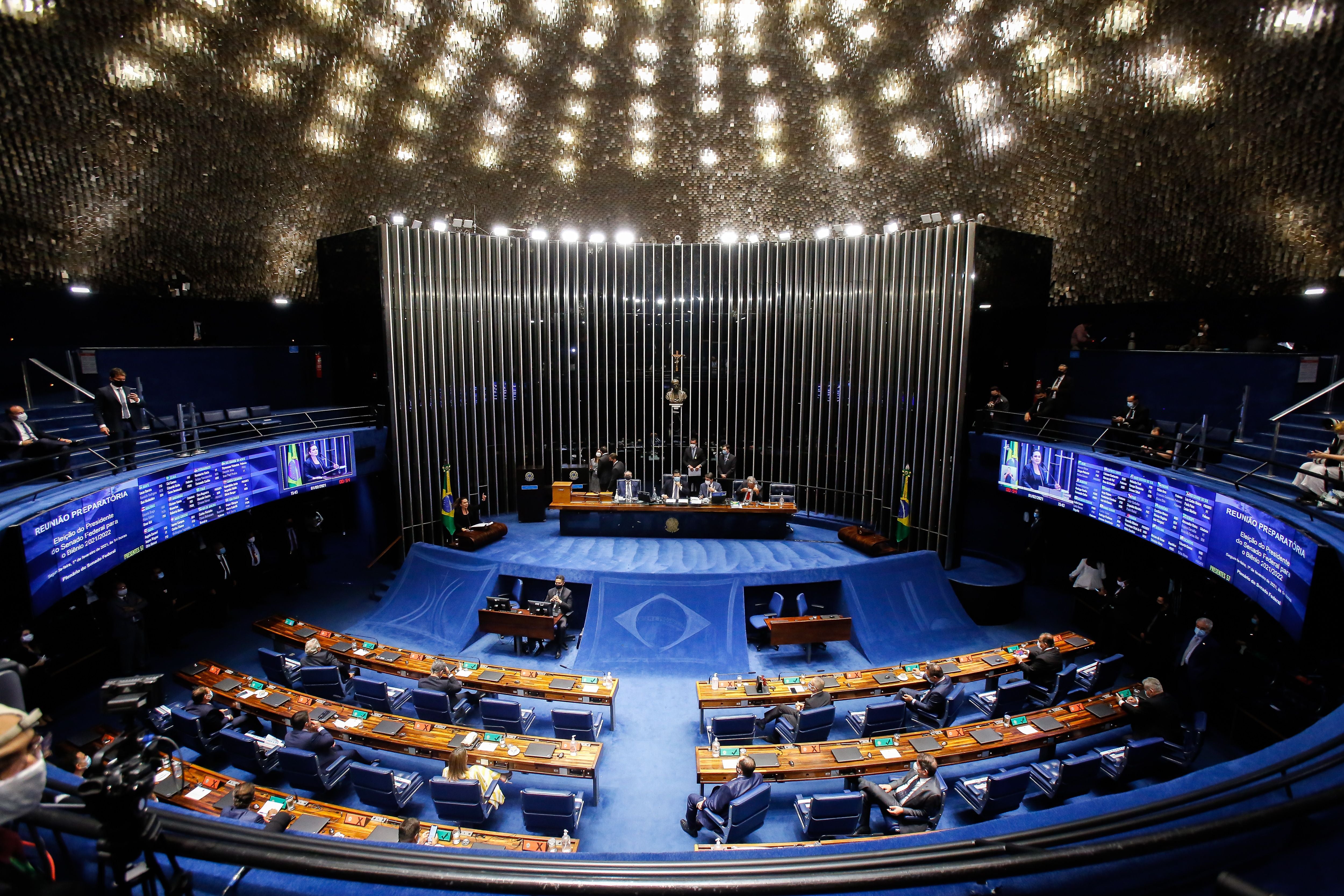 The Brazilian Senate in Brasilia, February 1, 2021.