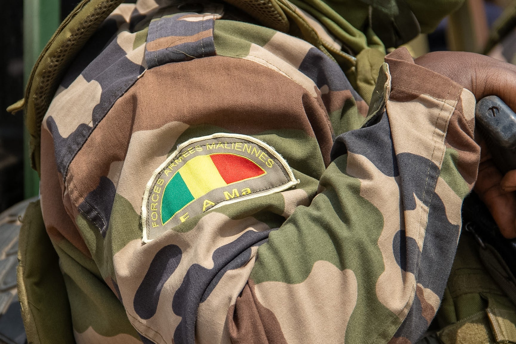 The logo of the Malian Armed Forces (FAMA).