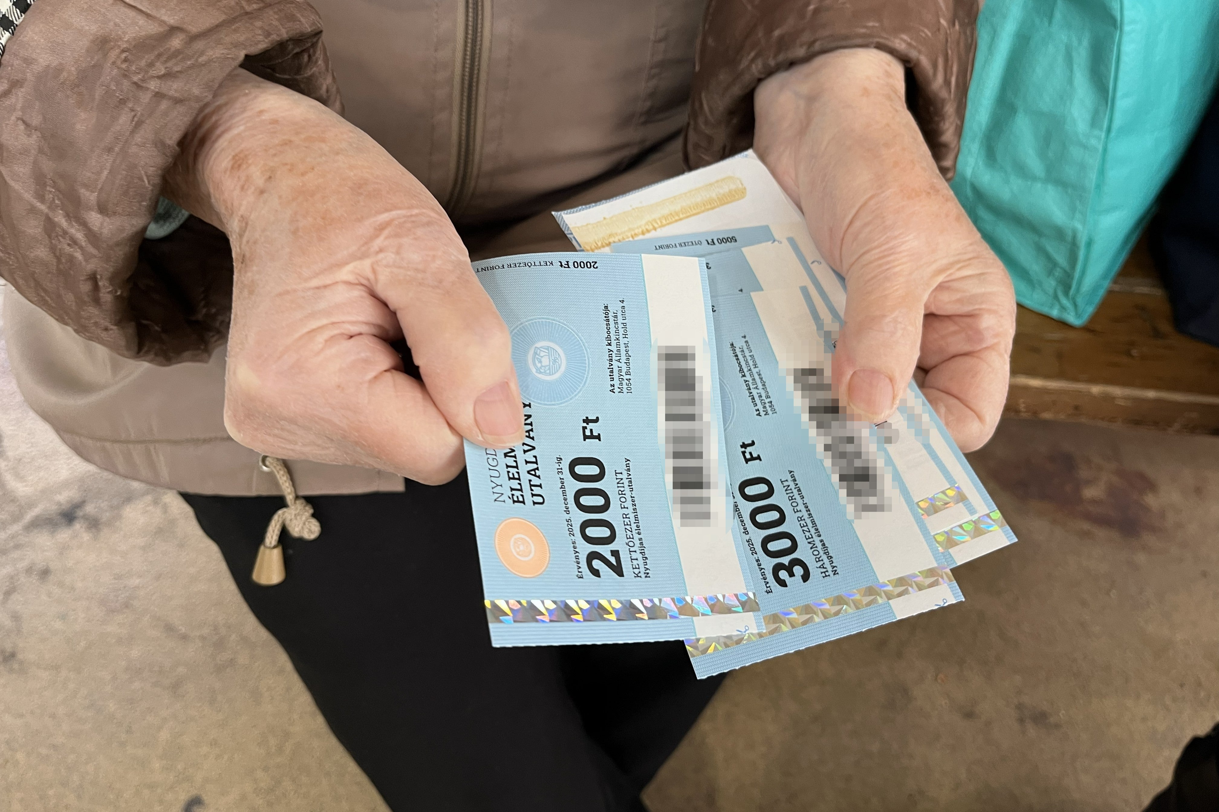Margit, 85, shows the food vouchers she has remaining after buying fruit at a market in Budapest, Hungary. She reported that only some market stalls would accept them. October 2025.