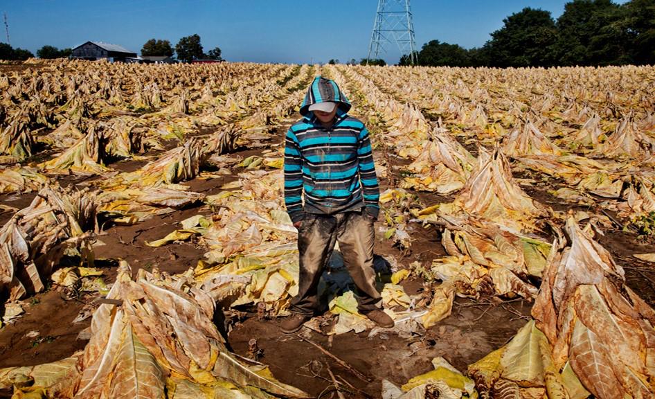 2015-10-US-CRD_TOBACCO WORKER