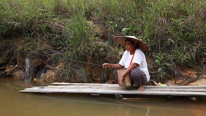  Pemerintah Indonesia telah gagal melindungi hak-hak masyarakat adat yang telah kehilangan hutan tradisional dan mata pencarian mereka karena perkebunan kelapa sawit di Provinsi Kalimantan Barat dan Jambi.