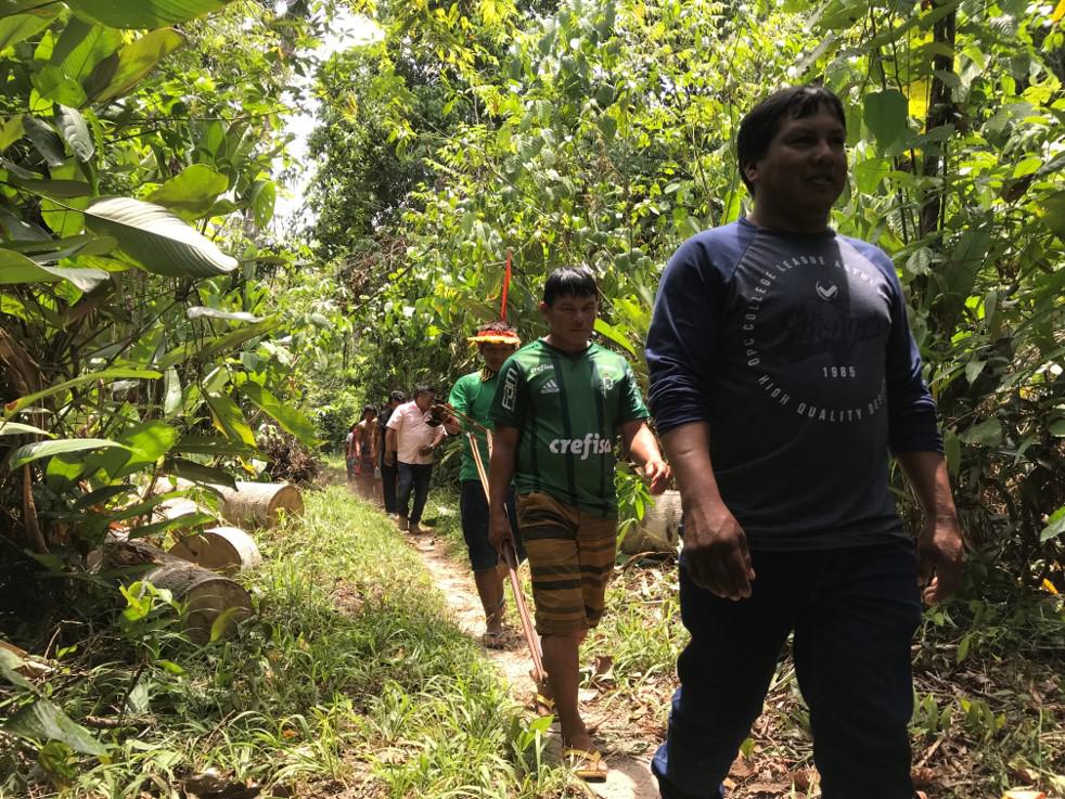 201903americas_brazil_environment_kaapor