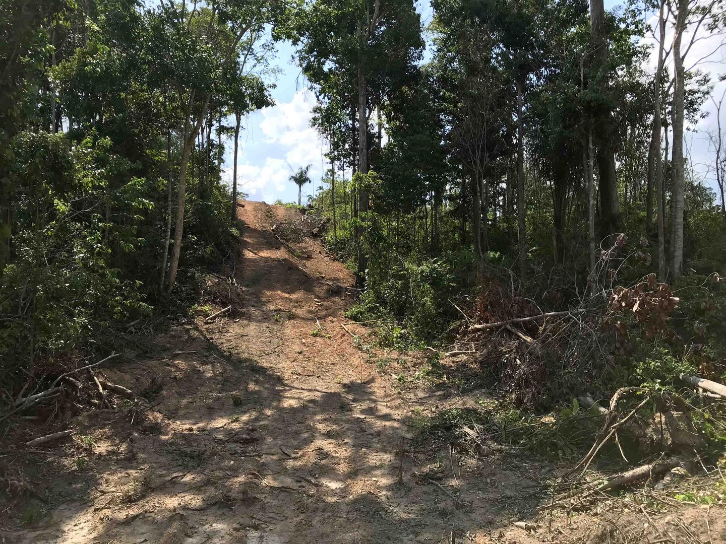 201909ENV_Brazil_pic2