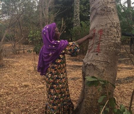 202004Africa_Guinea_Souapiti_5