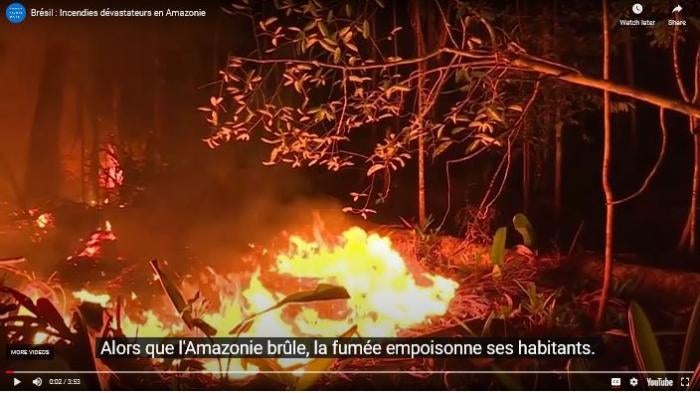 202008EHR_Brazil_Amazon_ VideoImage_FR