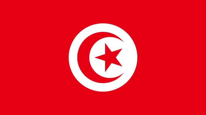 202302mena_tunisia_flag