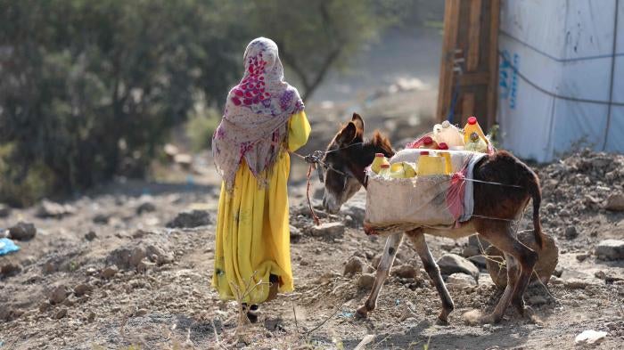 A girl walks with a donkey carrying water containers