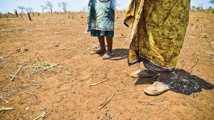 Female farmers resettled to Mwaladzi received land with poor access to water and limited productivity. The compensation package also included a new house.