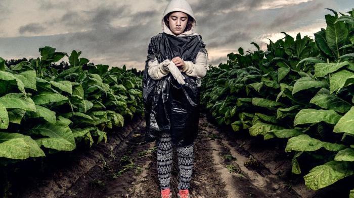 16-year-old tobacco worker