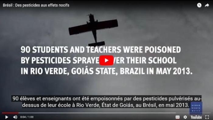 201807ehr_brazil_presticides_VideoFR