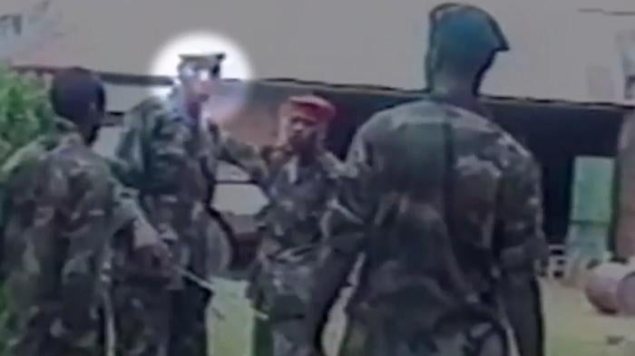 Still image of Bosco from 2003