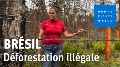 Brazil video image FR