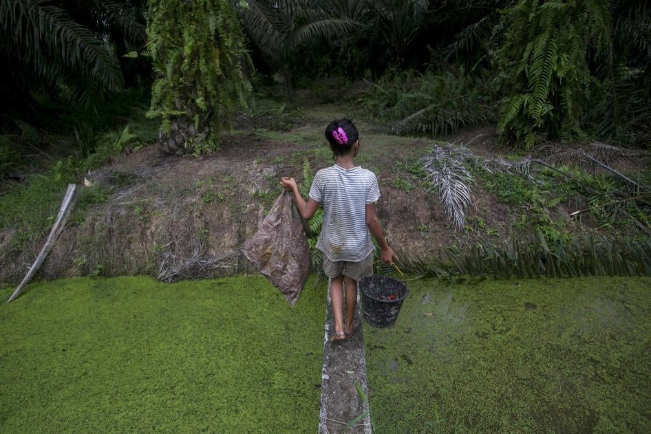 A child carries palm kernels collected from the ground across a creek at an oil palm plantation in Sumatra, Indonesia, November 2017.