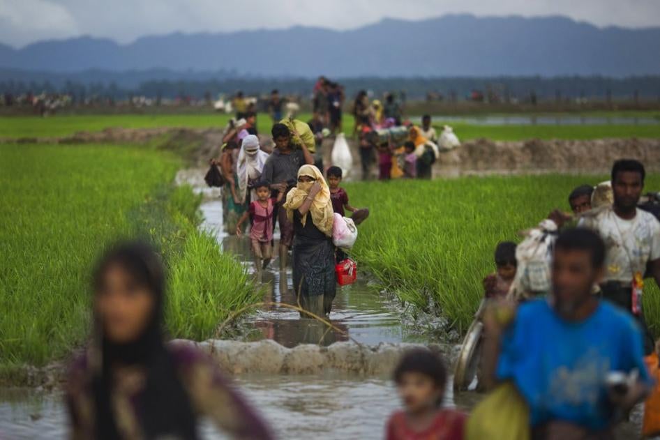 Rohingya walk through rice fields after fleeing across the border from Myanmar to Bangladesh near Teknaf, September 1, 2017.