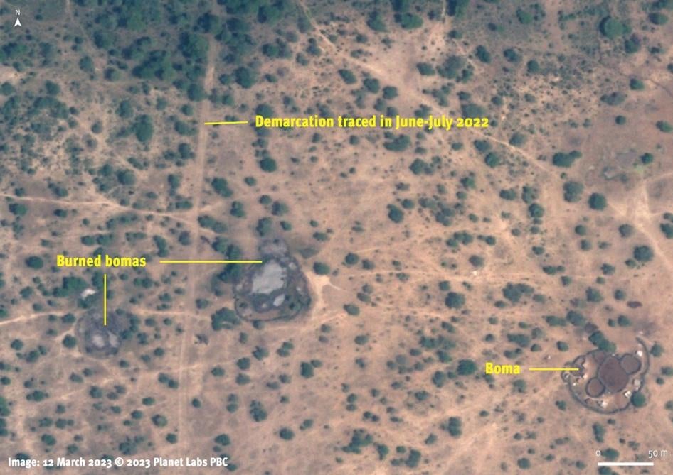 Satellite image from March 12, 2023 shows the new demarcation in Arash ward, Arusha region, Tanzania. Homesteads and animal enclosures located close to the line are destroyed and show signs of burning. 