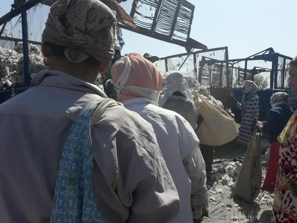 Работники грузят собранный ими хлопок на грузовики, уборка урожая 2016 года.