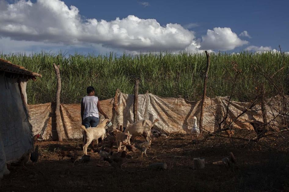 Uiara, uma mulher de 50 e poucos anos vive no estado de Minas Gerais. Ela disse à Human Rights Watch que “o avião sobrevoa nossas casas com o pulverizador ligado. Nós não esperamos, nós corremos para dentro das casas. Os agrotóxicos são muito fortes”.