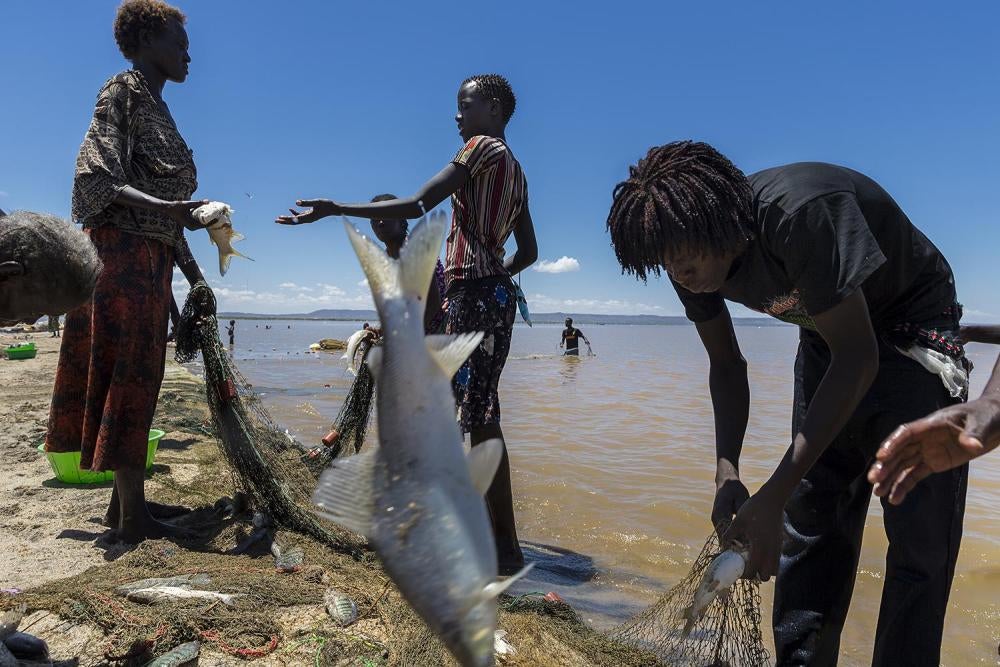 Villagers catch fish