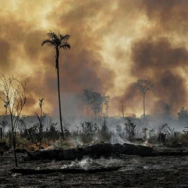 A forest fire rages in Santo Antonio do Matupi, southern Amazonas state, Brazil, August 27, 2019.