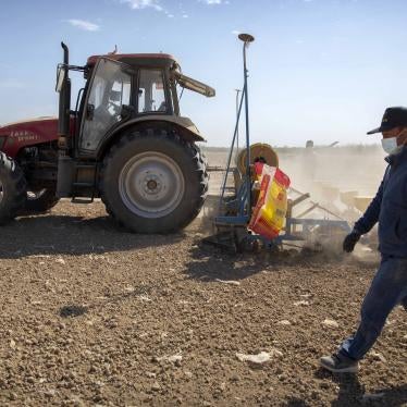 Uyghur Cotton Farmer