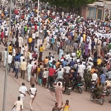 A group of demonstrators on a city street