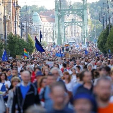 Many protesters attend a rally holding flags