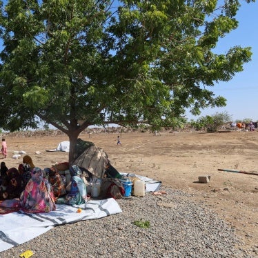 People displaced from Gezira state by the Rapid Support Forces seek shade in New Halfa, Kassala state, Sudan, November 3, 2024.