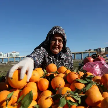 Street vendor arranges oranges at her stall in a women-led street market.