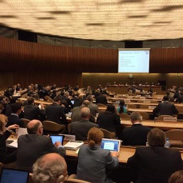 The second Convention on Conventional Weapons informal meeting of experts on lethal autonomous weapons systems at the UN in Geneva in April 2015. 