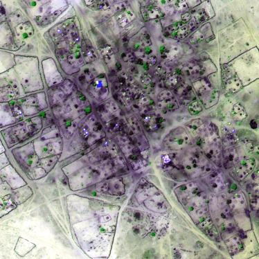 False-color infrared satellite image of the village of Um Gunya recorded after the government offensive in late February 2014, shows extensive areas of housing destruction and evidence of burnt vegetation consistent with an arson attack. Areas of fire-rel