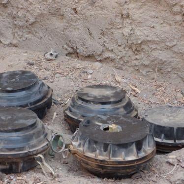Yemen: Houthis Used Landmines in Aden