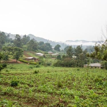 Abandoned fields in the center of Belo following early April clashes between security forces and armed separatists, North West region, April 2018.