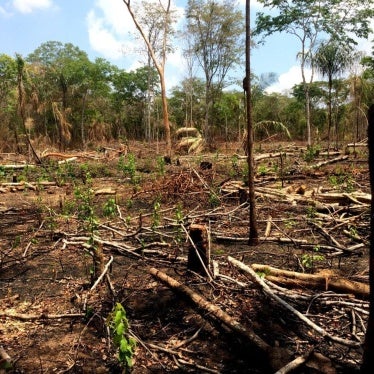 Deforested area within the Governador Indigenous Land, 