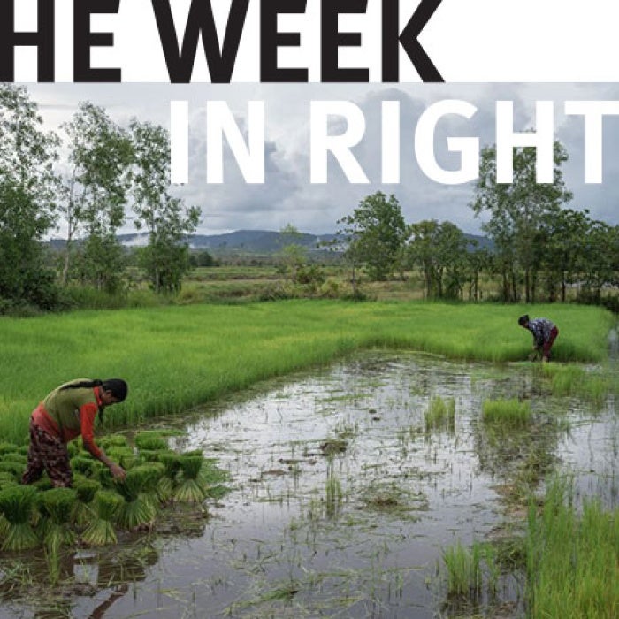 Two figures work in a body of water. 